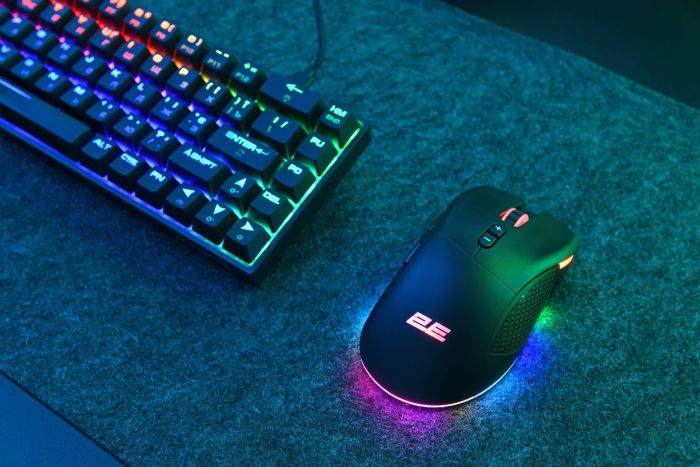 Мышь 2E GAMING MG350 WL, RGB, USB-A/WL, чёрный