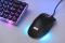 Мышь 2E GAMING MG350 WL, RGB, USB-A/WL, чёрный
