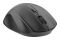Mouse 2E MF240 Silent, WL, black