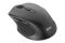 Mouse 2E MF240 Silent, WL, black