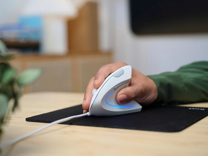 Мышь Trust Verto Ergonomic, USB-A, Белый