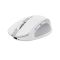Мышь Trust OZZA compact, BT/WL/USB-A, белый