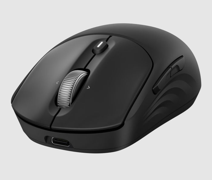 Мышь HP 700 Rechargeable, WL/BT, чёрный