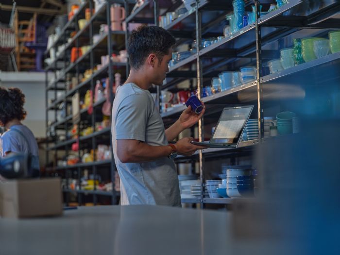 Ноутбук HP ProBook 4-G1i 14" WUXGA IPS AG, Intel U5-225U, 16GB, F512GB, UMA, Win11P, серебристый