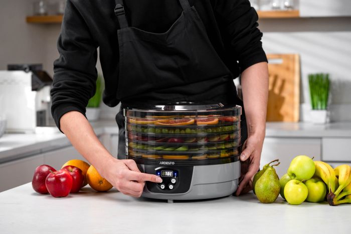 Сушка для продуктов    , 250Вт, поддонов -5x3см, диаметр-32см, макс-70°С, таймер, электр. управление, пластик, белый ARDESTO FDB-532TTC