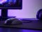 Asus Mouse ROG Harpe Mini Core, USB-A, black