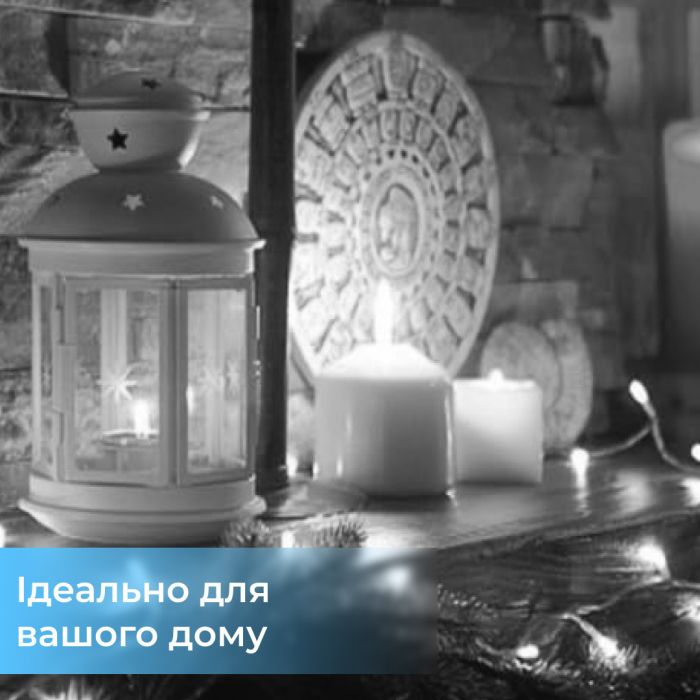 Гірлянда світлодіодна кінський хвіст GarlandoPro 200LED Роса 2м 10 ліній Білий 1733011W