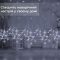Гірлянда штора 3х0,9 м сніжинка зірка на 145 LED лампочок світлодіодна 10 шт Білий 1733067W