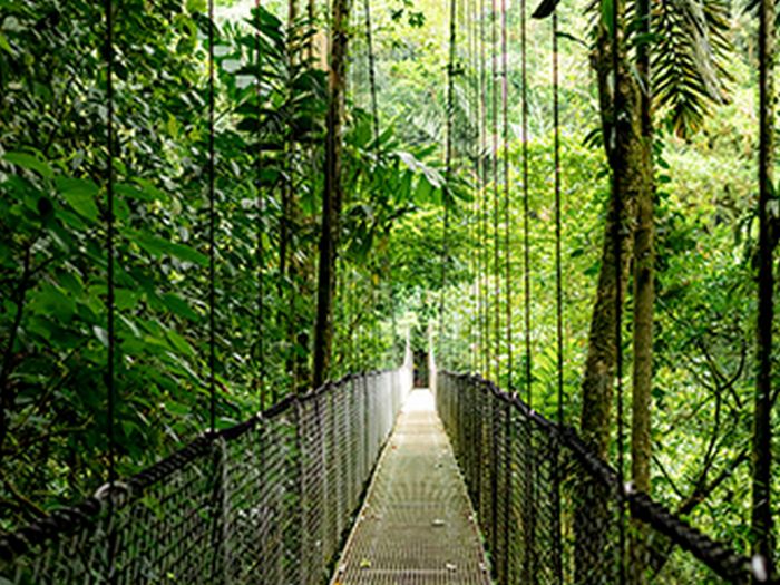 HP Notebook Probook 4-G1a 16" WUXGA IPS, AMD R3-210, 16GB, F512GB, UMA, Win11P, silver